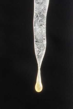 2022 01 15